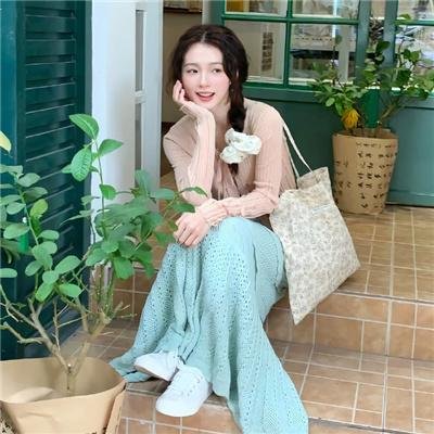 骑士的漫游海报